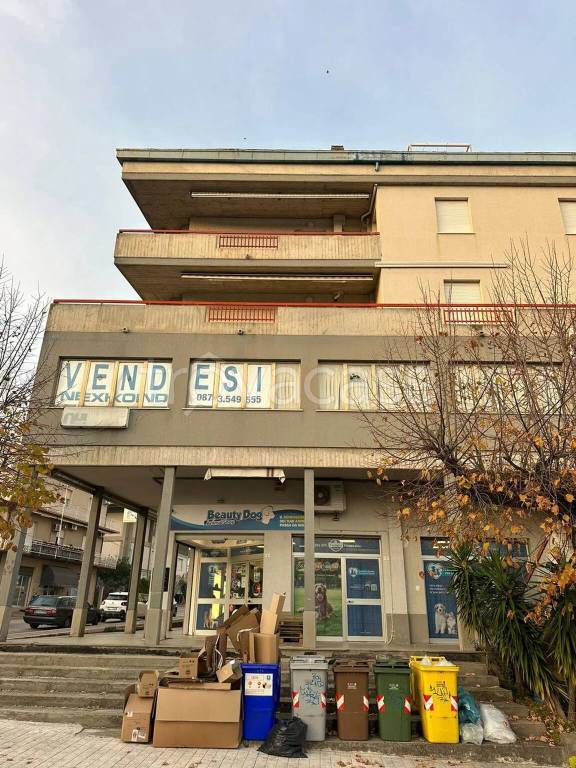 immagine annuncio 1 di 8