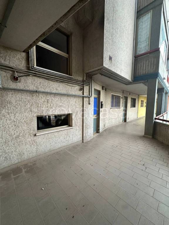 immagine annuncio 3 di 8