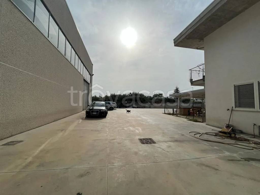 immagine annuncio 8 di 15