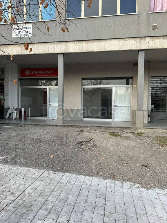 immagine annuncio 1 di 2