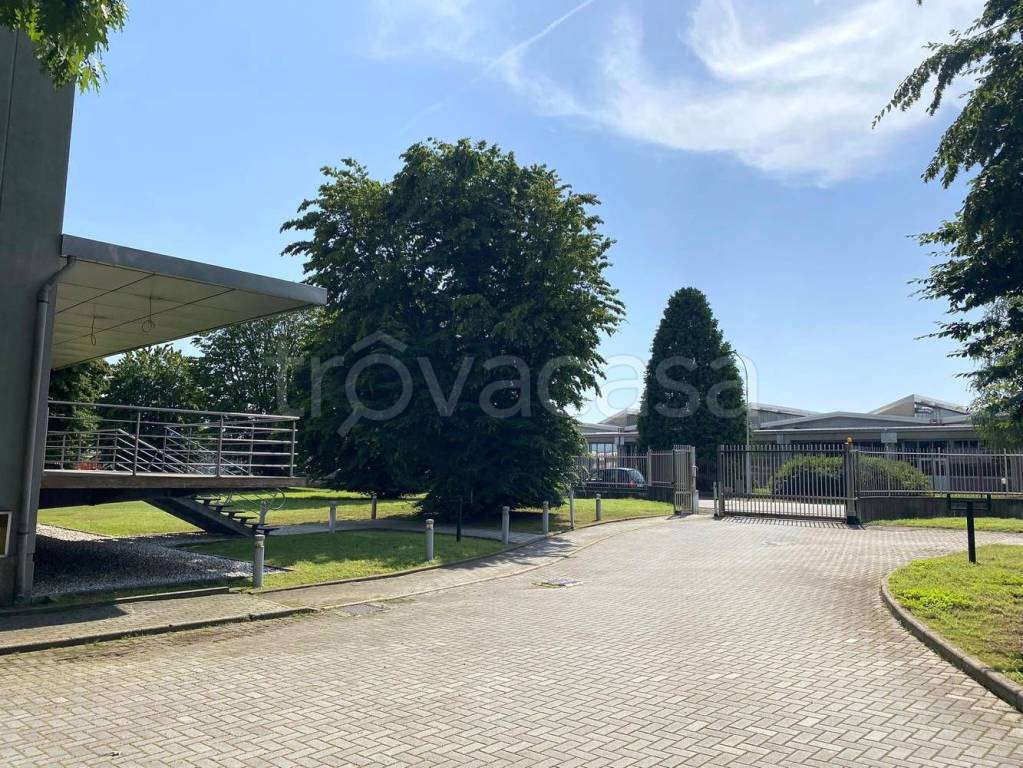 immagine annuncio 14 di 15