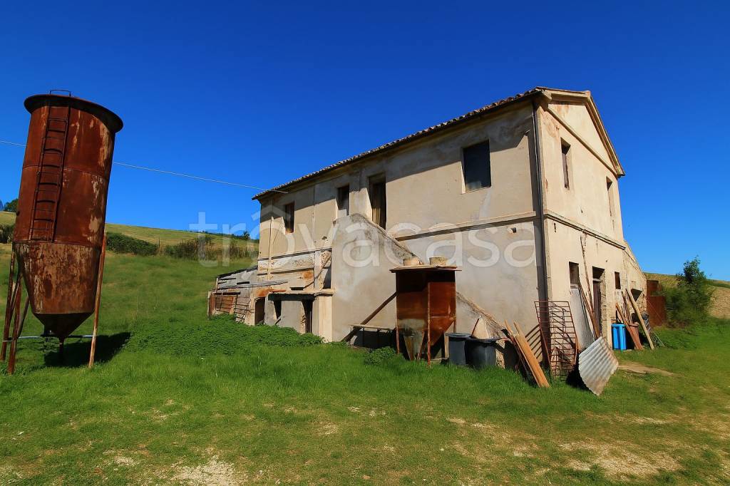 immagine annuncio 2 di 7