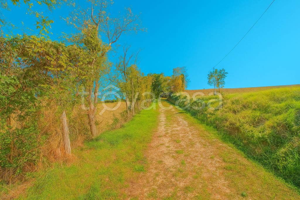 immagine annuncio 4 di 7