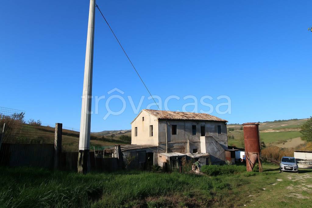 immagine annuncio 5 di 7