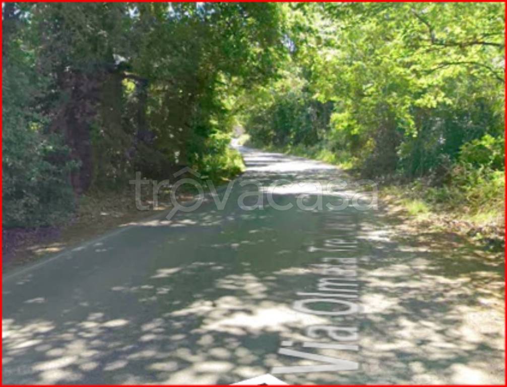 immagine annuncio 6 di 12