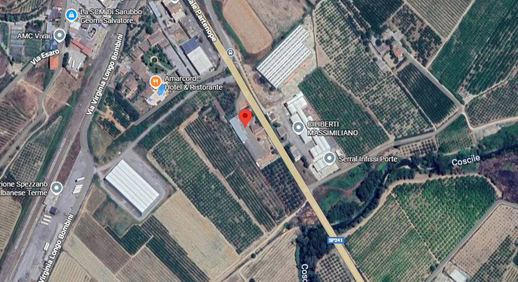 immagine annuncio 7 di 11