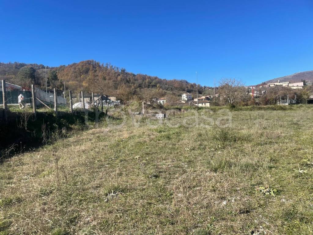 immagine annuncio 5 di 8