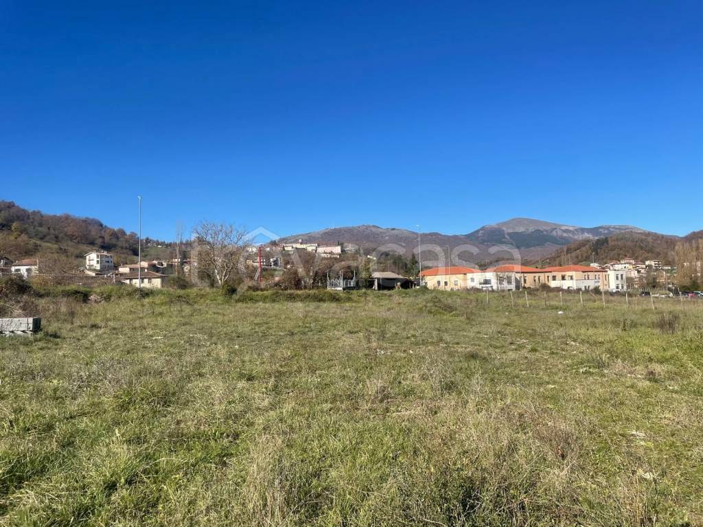 immagine annuncio 7 di 8