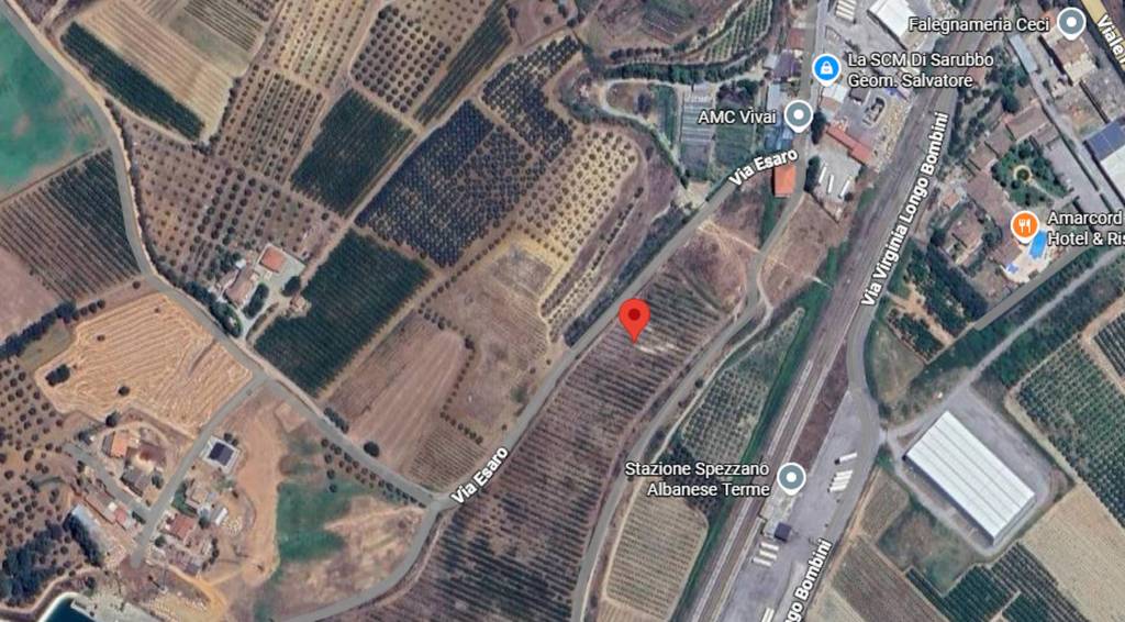 immagine annuncio 1 di 12