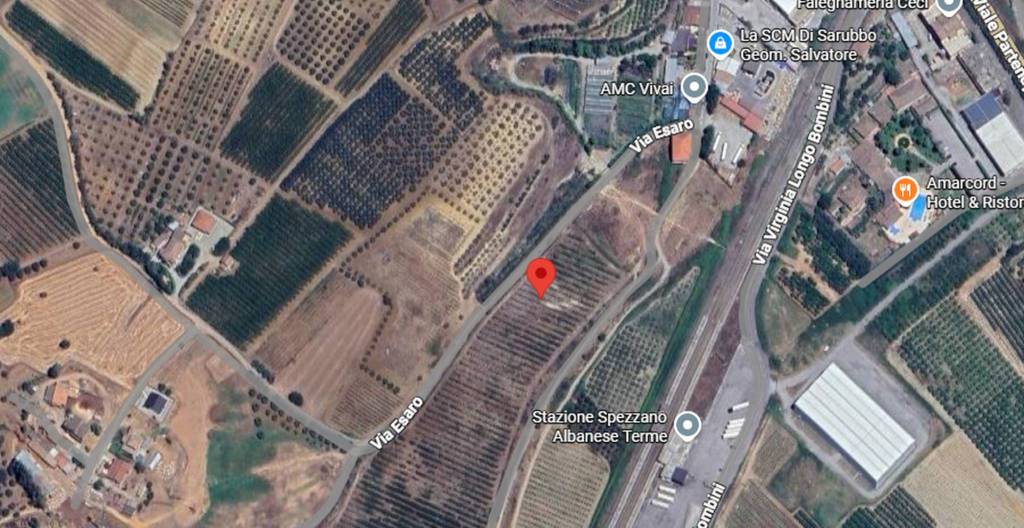 immagine annuncio 2 di 12