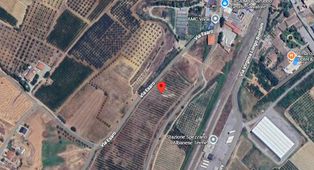 immagine annuncio 10 di 12