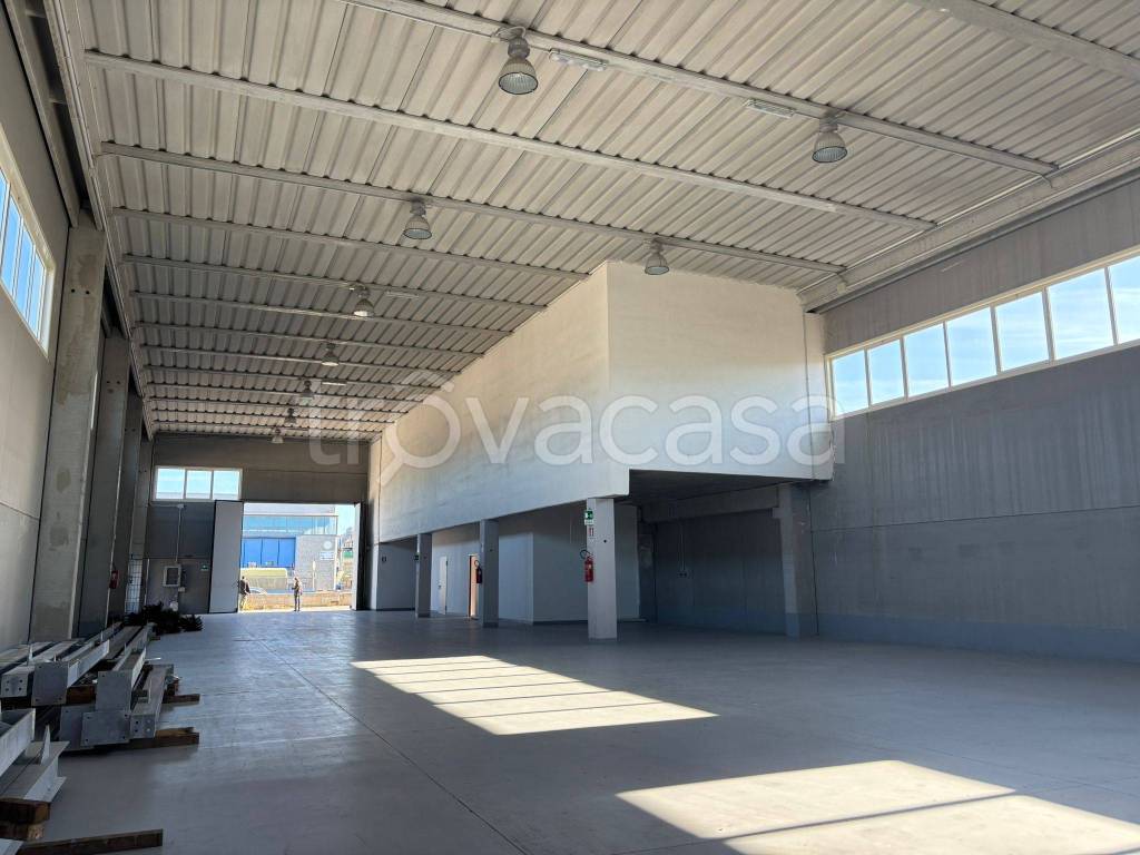 immagine annuncio 9 di 15