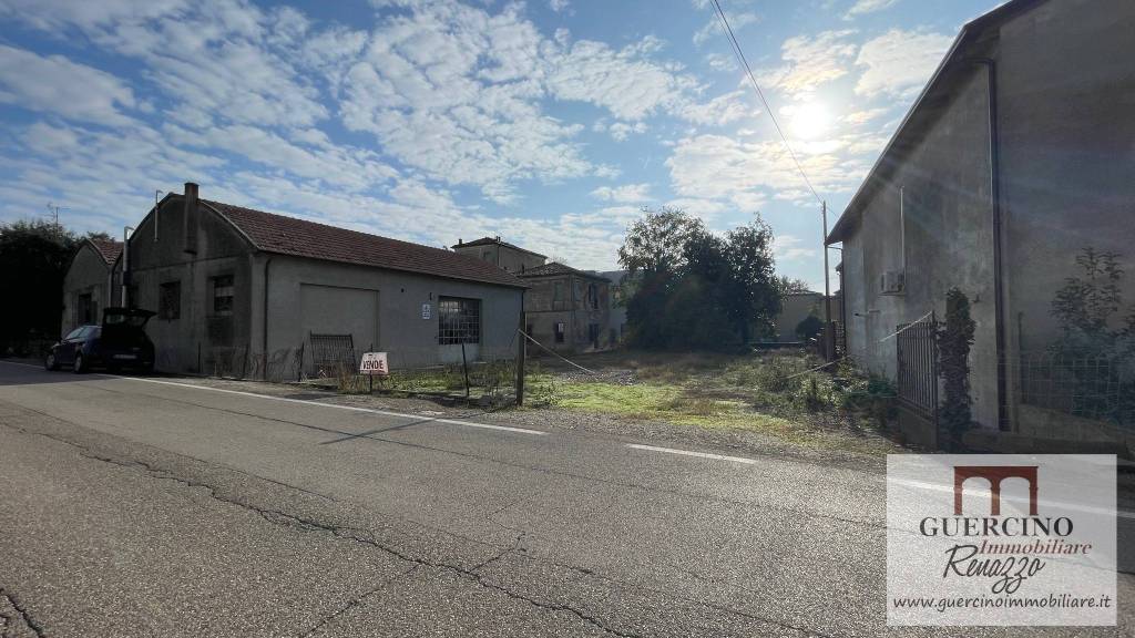 immagine annuncio 12 di 13