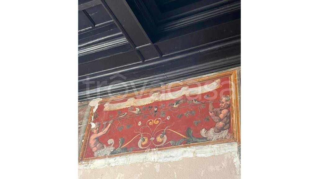 immagine annuncio 5 di 14