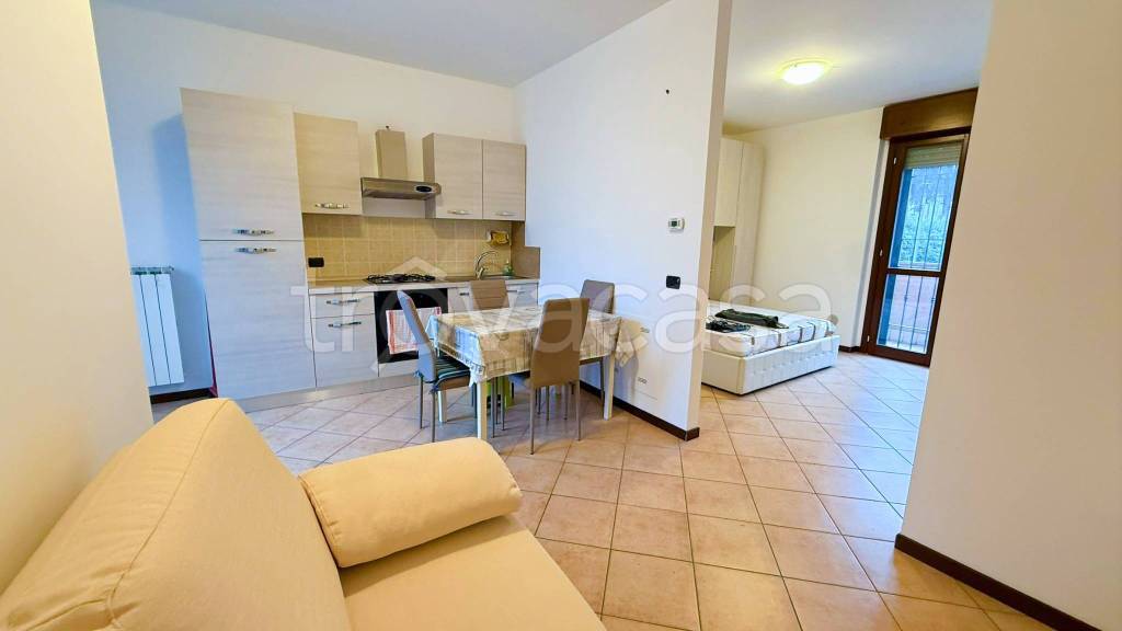 immagine annuncio 1 di 12