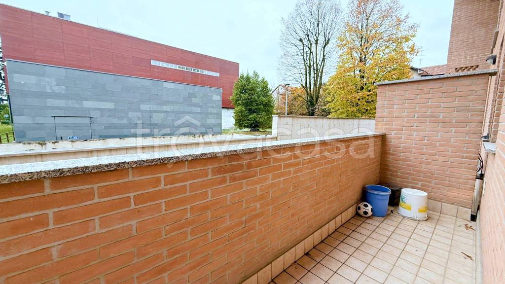 immagine annuncio 5 di 12