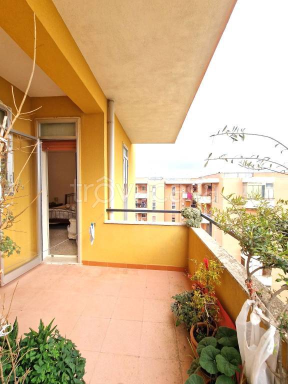 immagine annuncio 3 di 8