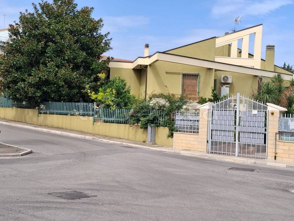 immagine annuncio 11 di 12