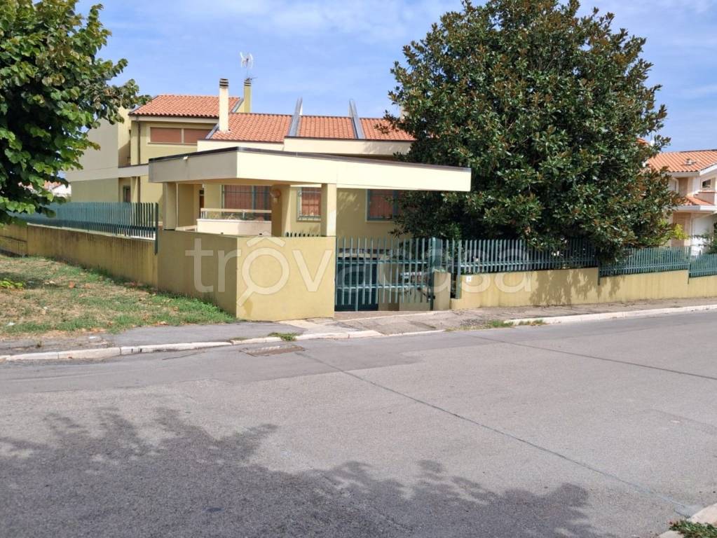 immagine annuncio 6 di 12