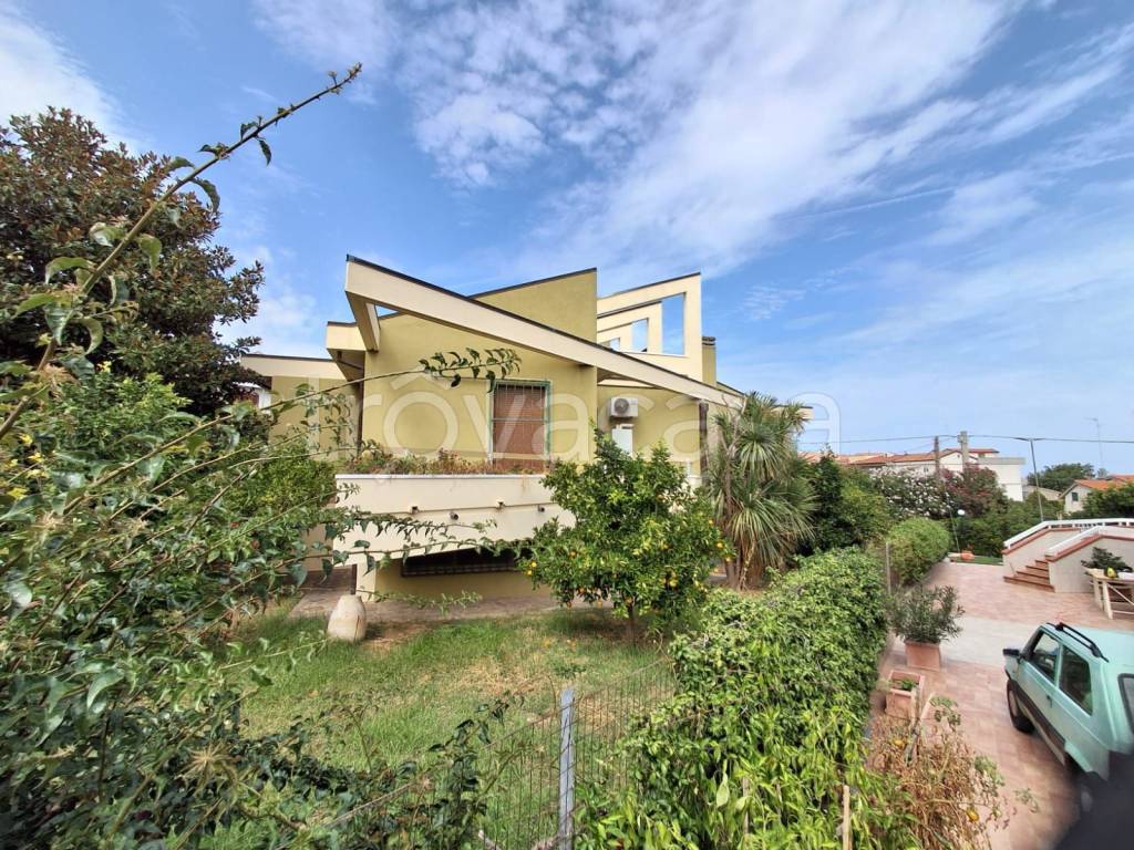 immagine annuncio 2 di 12