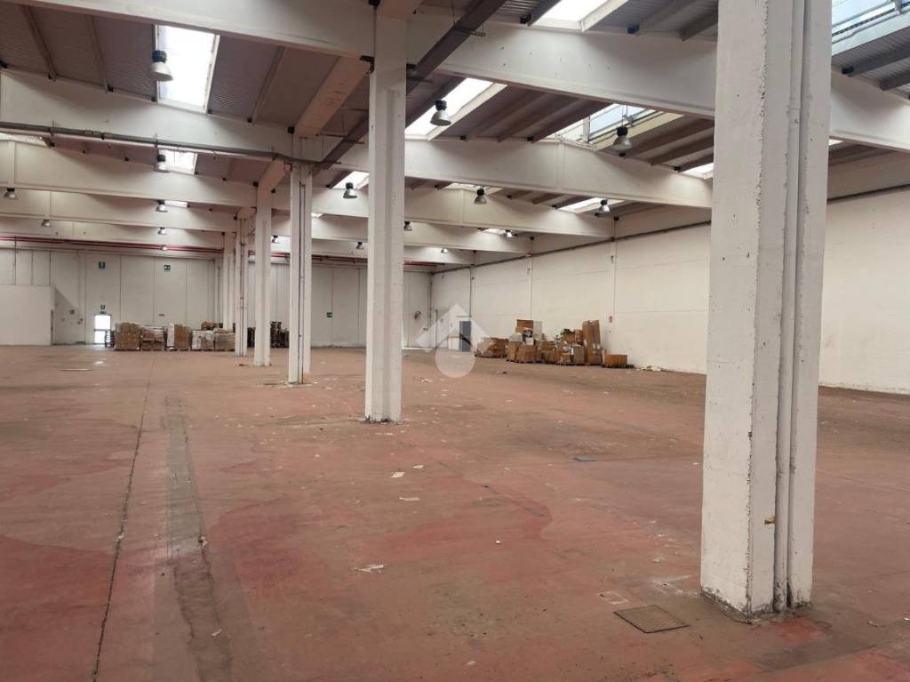 immagine annuncio 3 di 9