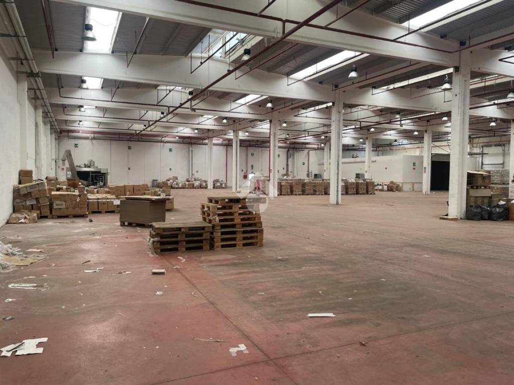 immagine annuncio 2 di 9