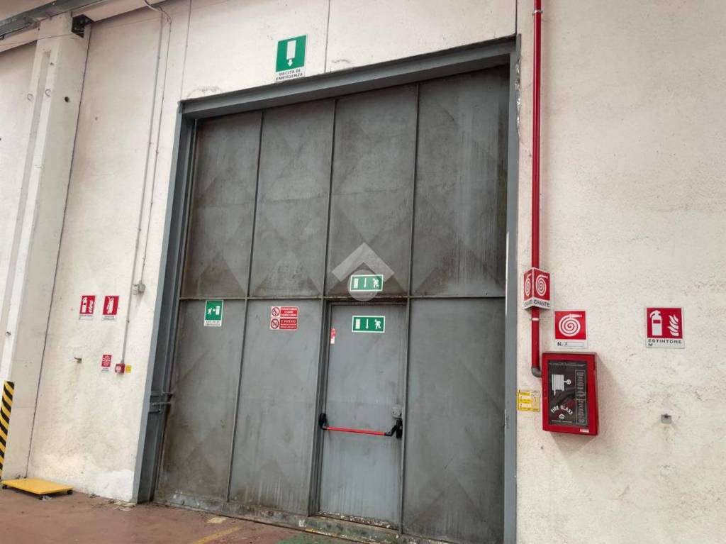 immagine annuncio 5 di 9