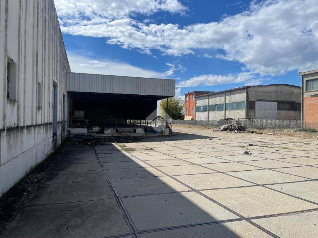 immagine annuncio 6 di 9