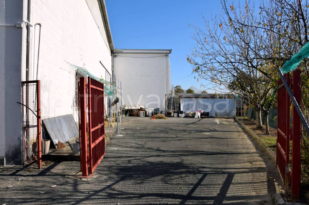 immagine annuncio 4 di 15