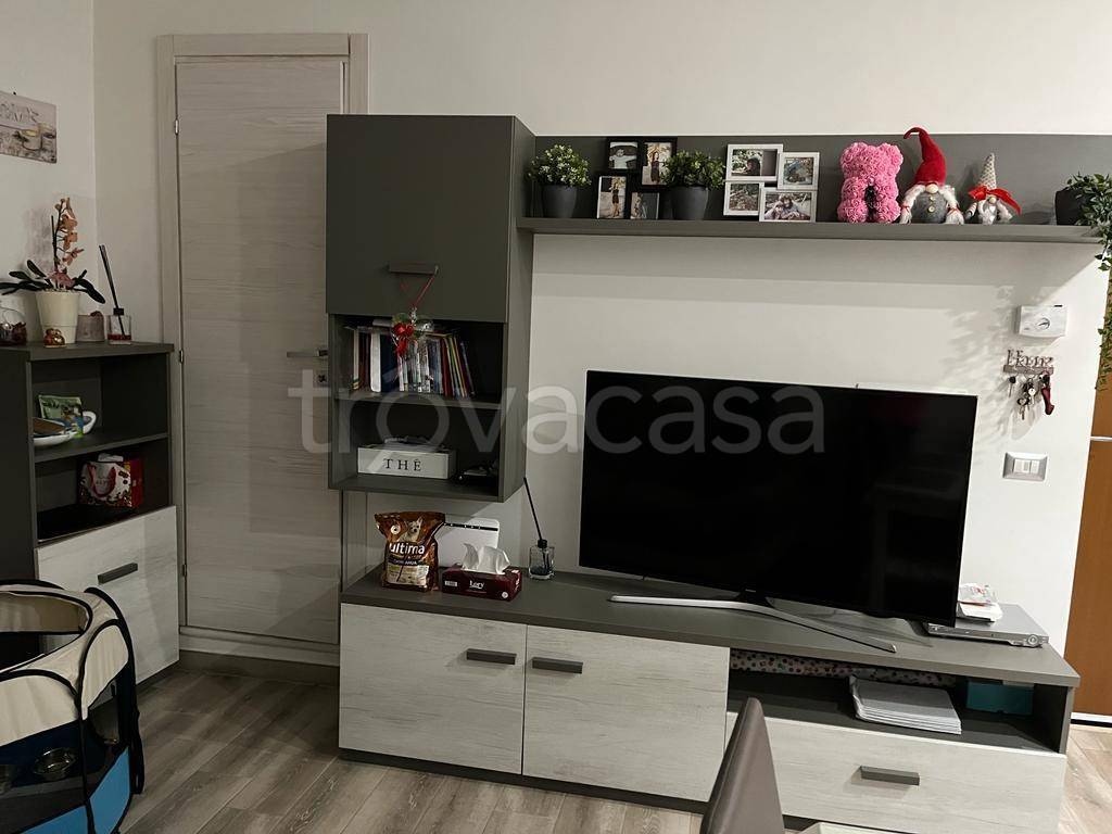 immagine annuncio 5 di 14