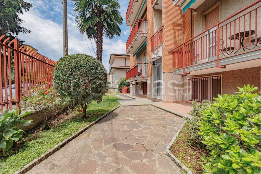 immagine annuncio 1 di 12