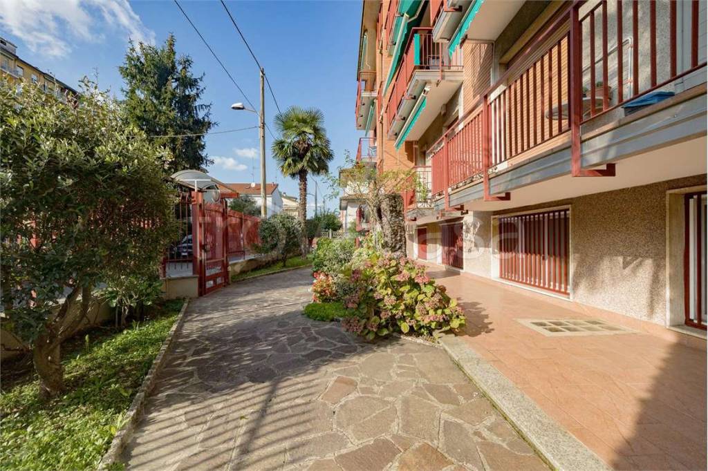 immagine annuncio 4 di 12