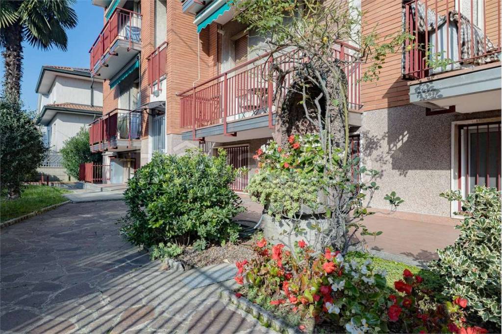 immagine annuncio 5 di 12