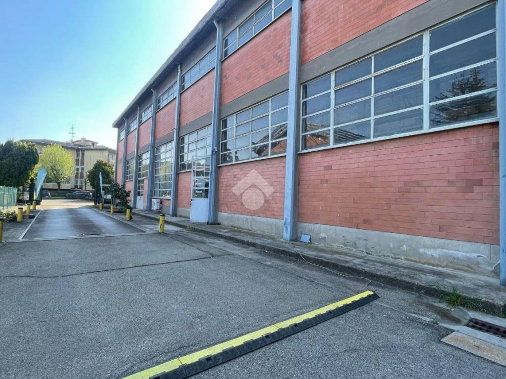 immagine annuncio 9 di 10