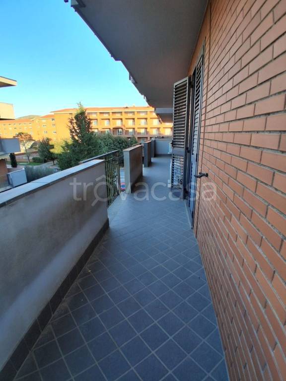 immagine annuncio 2 di 8