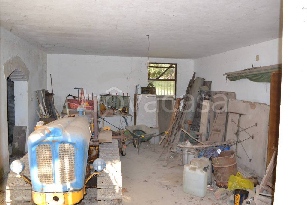 immagine annuncio 6 di 13