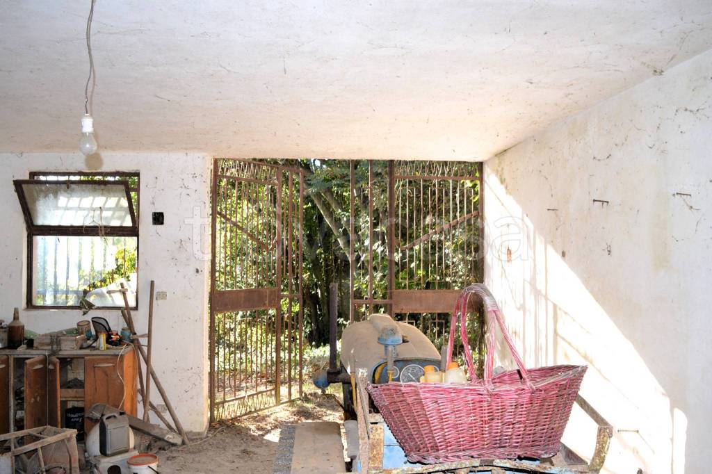 immagine annuncio 7 di 13