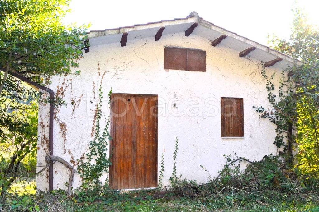 immagine annuncio 7 di 13