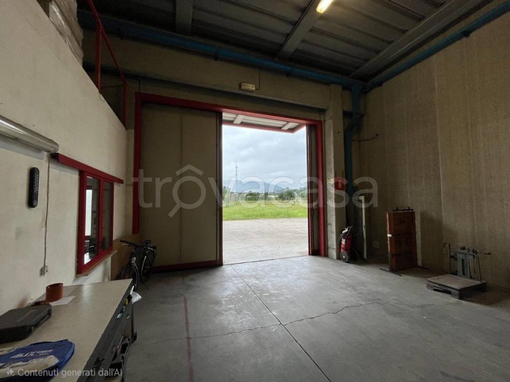 immagine annuncio 5 di 13