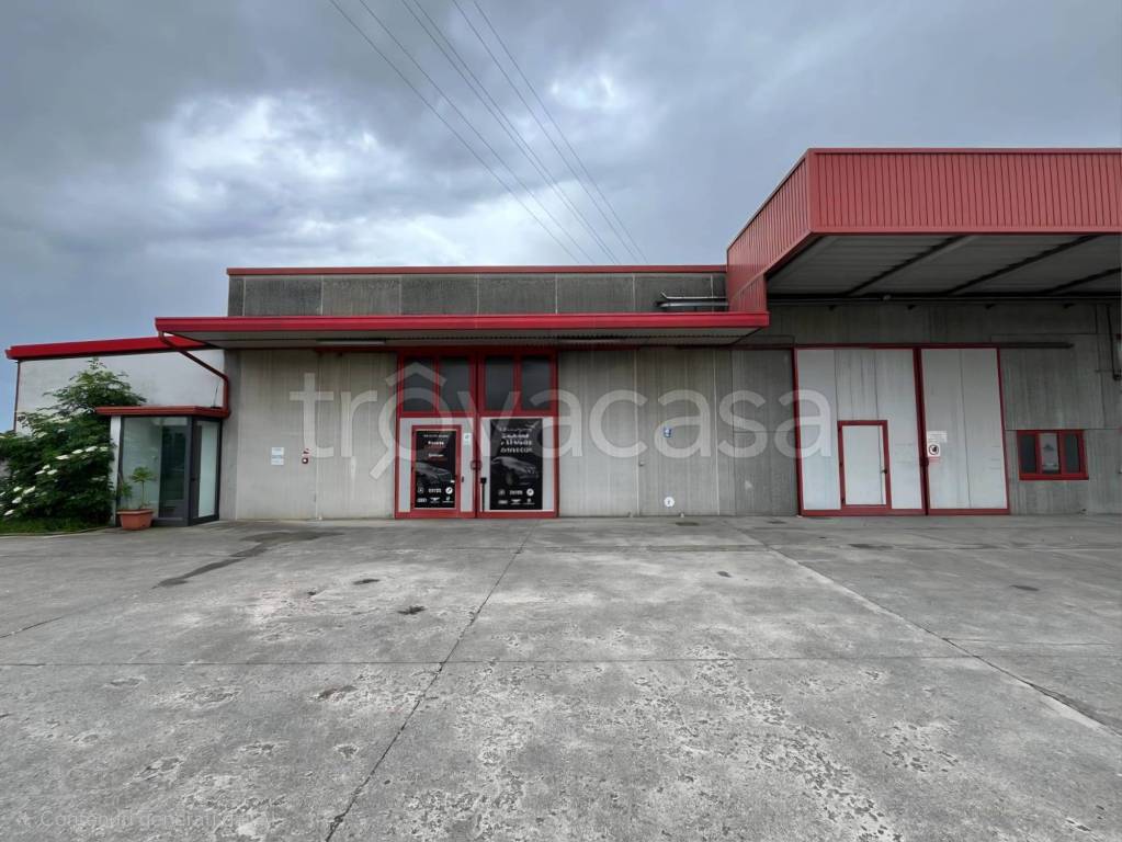 immagine annuncio 1 di 13