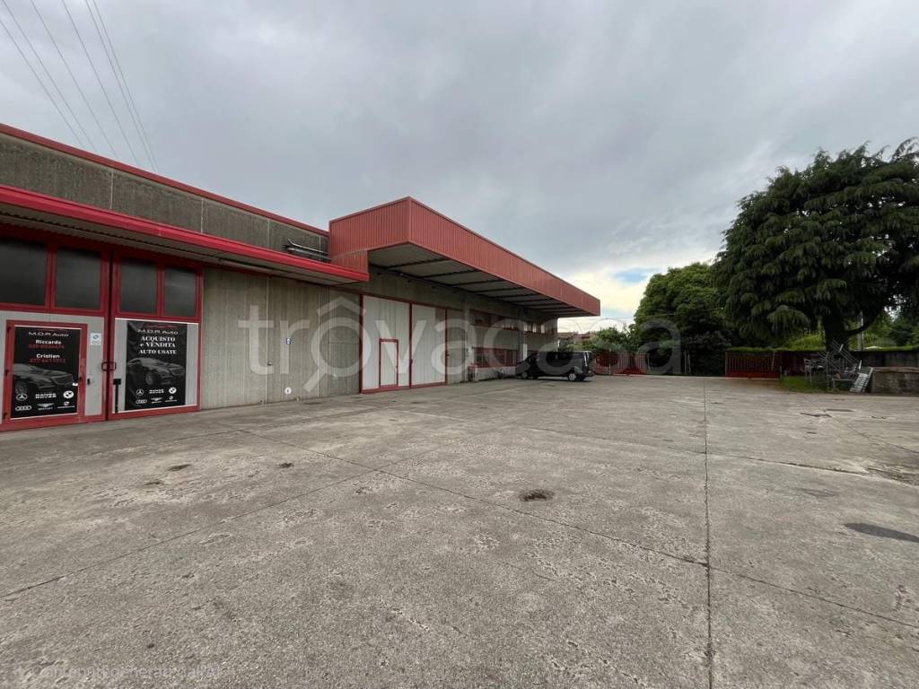 immagine annuncio 11 di 13