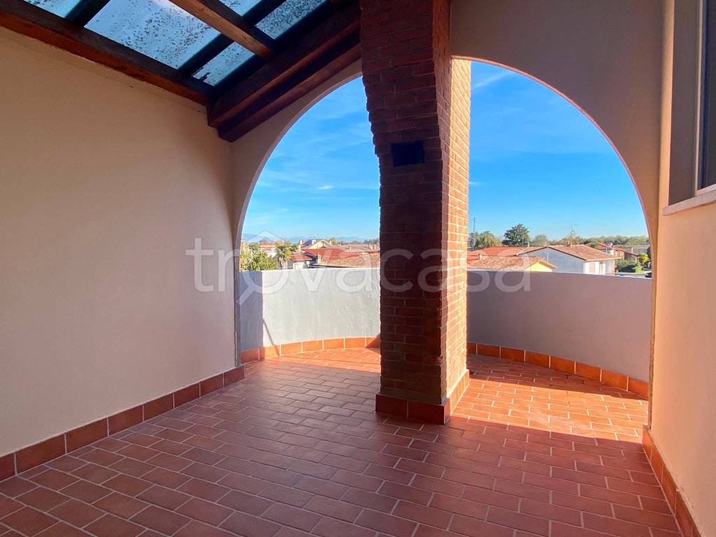 immagine annuncio 2 di 12