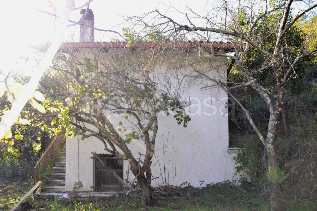 immagine annuncio 5 di 13