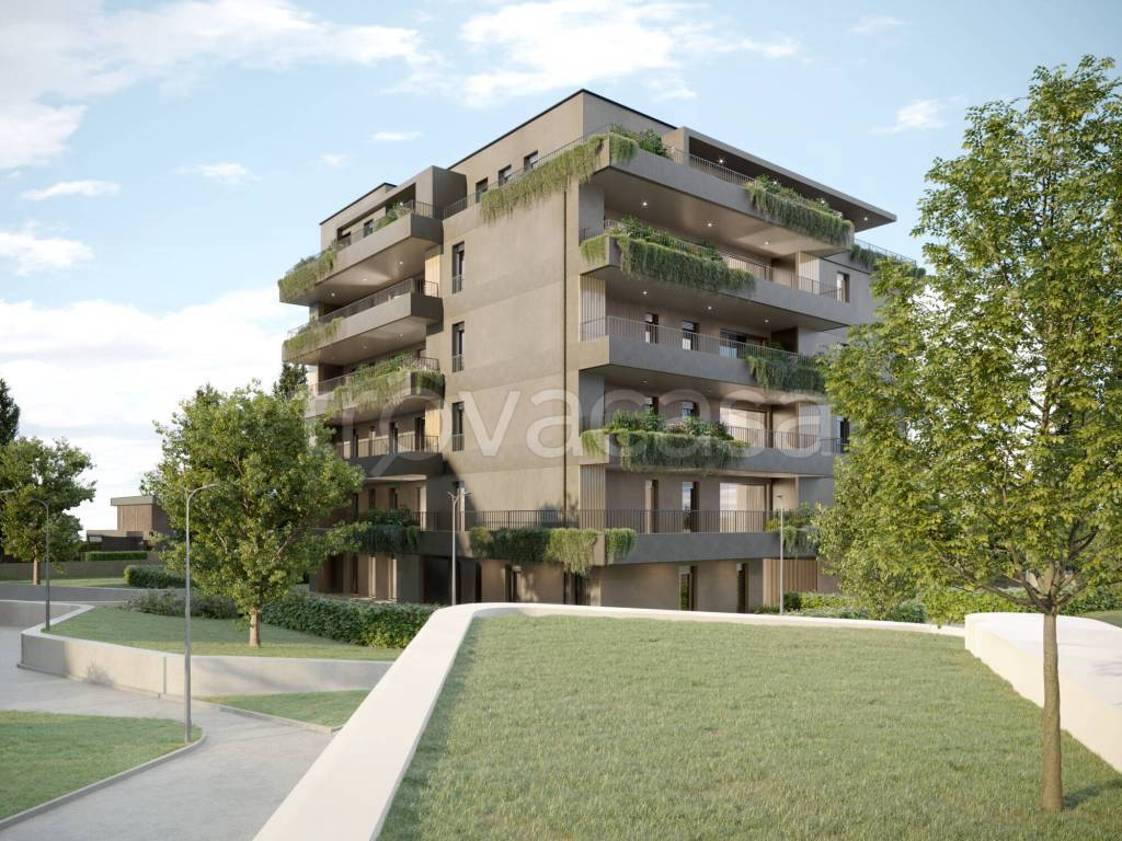 immagine annuncio 5 di 12