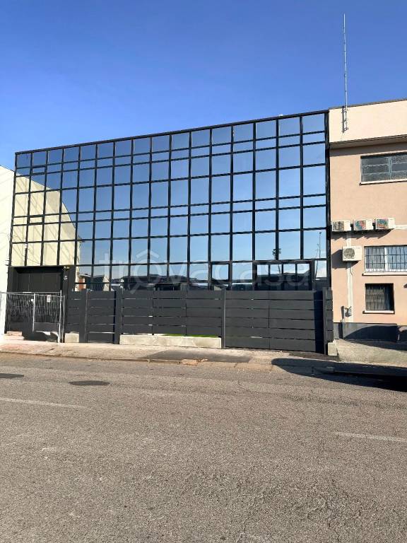 immagine annuncio 12 di 15