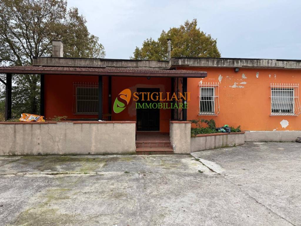 immagine annuncio 1 di 7