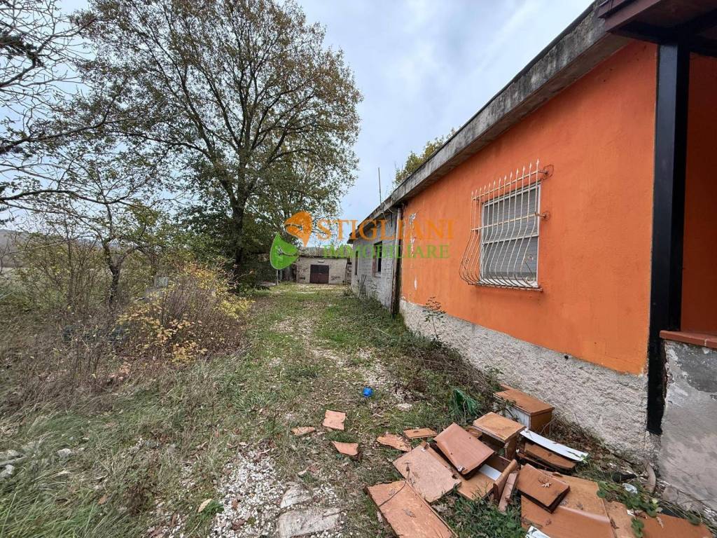 immagine annuncio 3 di 7