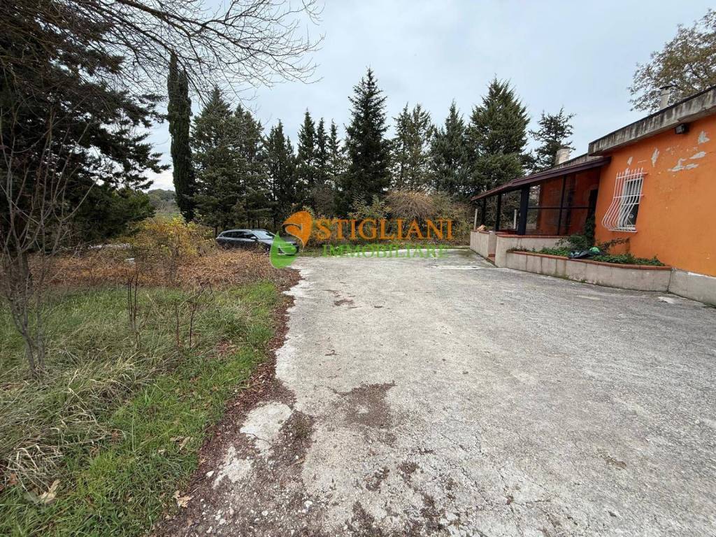 immagine annuncio 4 di 7