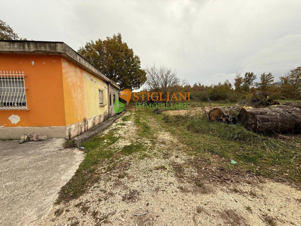 immagine annuncio 5 di 7