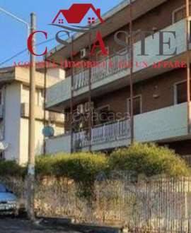 immagine annuncio 1 di 6